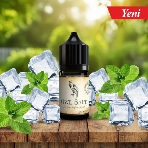 Owl Vape Glacier Snow Salt 30ml